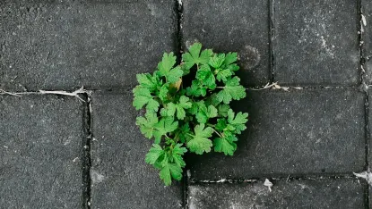 Casino Deposit Win Mobilapp